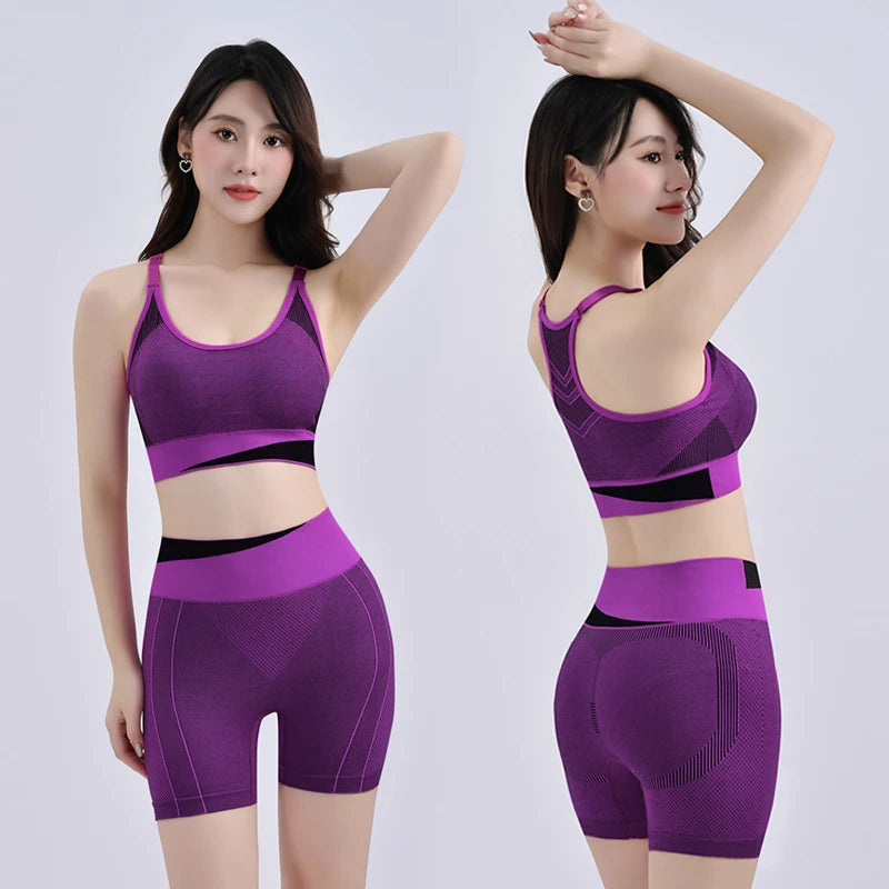 2 Piece Yoga Set Women Running Sports Fitness Suit Bra & Pants Vest