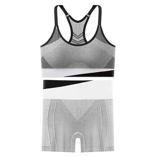 2 Piece Yoga Set Women Running Sports Fitness Suit Bra & Pants Vest