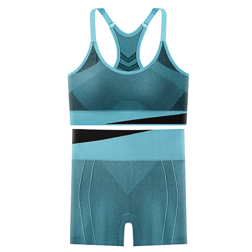2 Piece Yoga Set Women Running Sports Fitness Suit Bra & Pants Vest