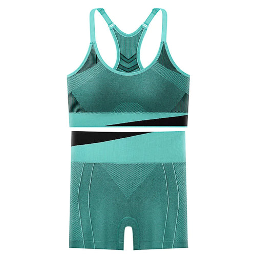 2 Piece Yoga Set Women Running Sports Fitness Suit Bra & Pants Vest