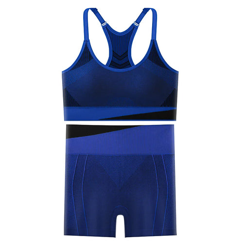 2 Piece Yoga Set Women Running Sports Fitness Suit Bra & Pants Vest