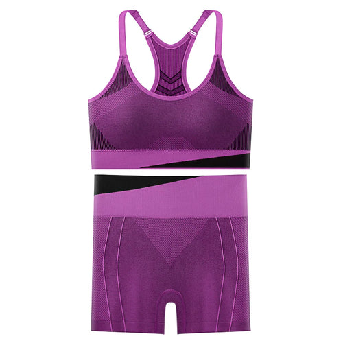 2 Piece Yoga Set Women Running Sports Fitness Suit Bra & Pants Vest
