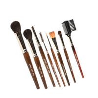 Complete Brush Set