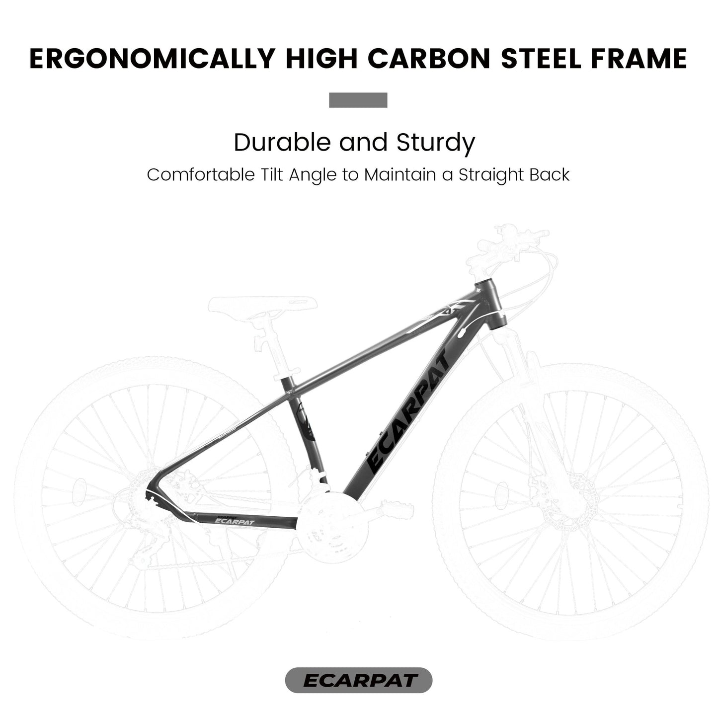 Ecarpat™ City-Cruizer – 29" Pro-Series Mountain Bike (21-Speed)