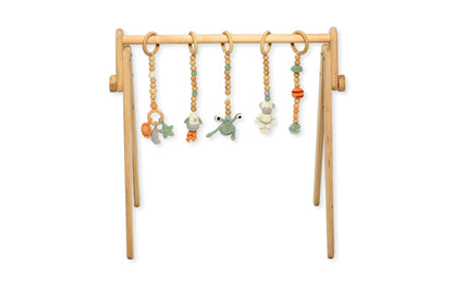 Montessori Baby Gym & Hanging Toys Set | Wooden Play Gym for Babies