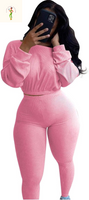 Womens Ribbed 2 Piece Outfits Long Sleeve Crop Top Pullover Skinny Long Pants Sweatsuits Set Tracksuit